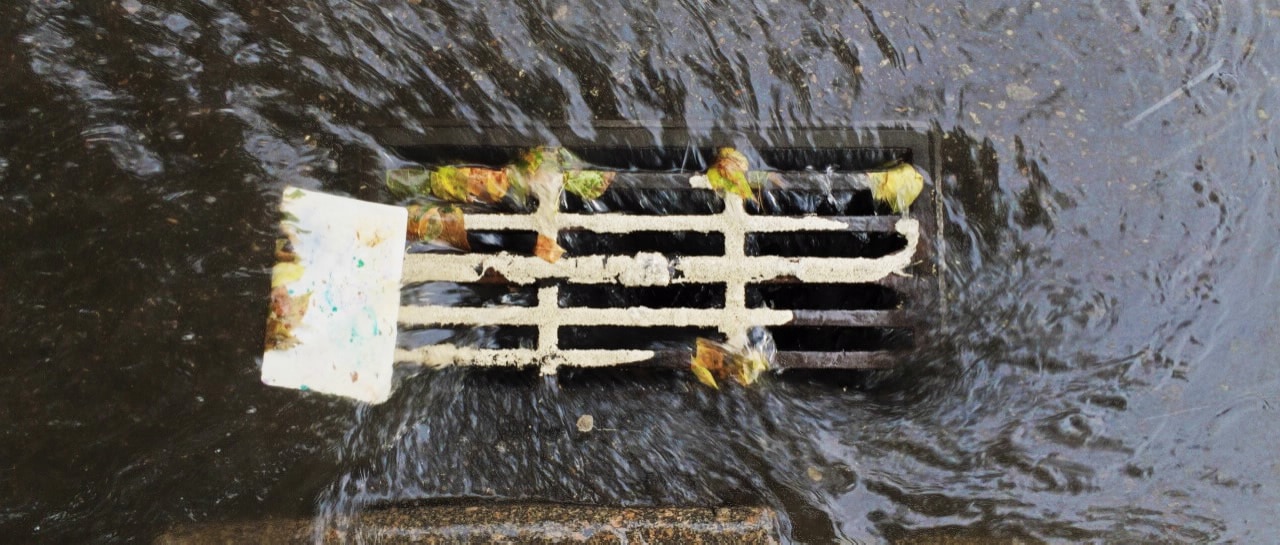 Real-Time PCR (qPCR)